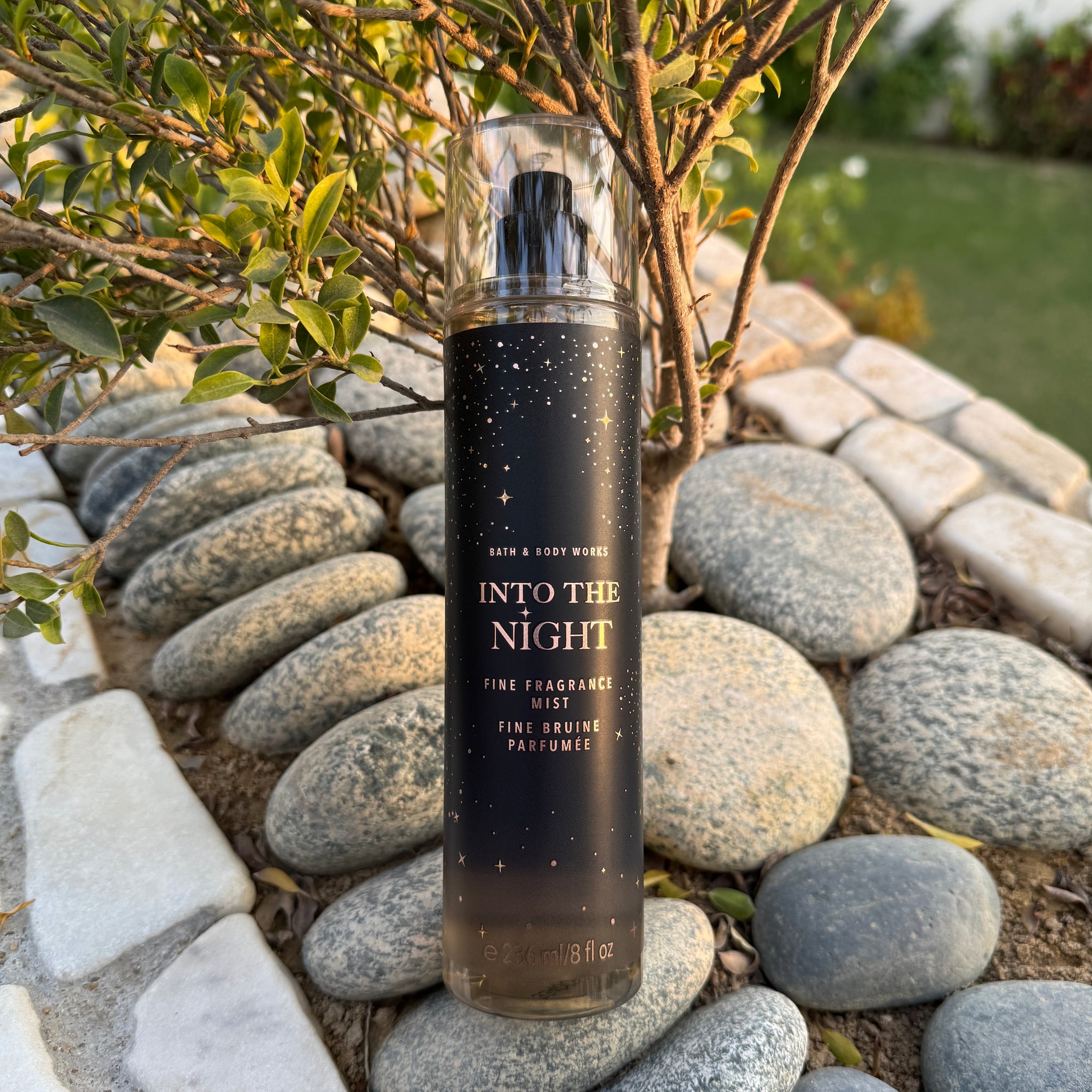 Bottle Into The Night Scent Bath And Body Works Bath And Body Works Perfume  Into The Night Bath Body Works Into